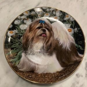 Danbury Mint Picture Perfect Shih Tzu Simon Mendez Collectors Plate